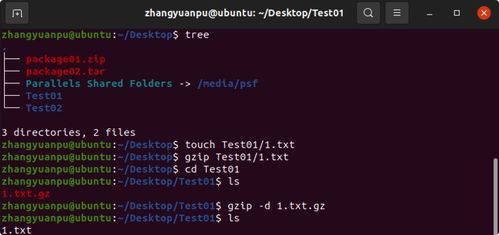 Linux操作系統(tǒng)初探 從計算機基礎到入門實踐
