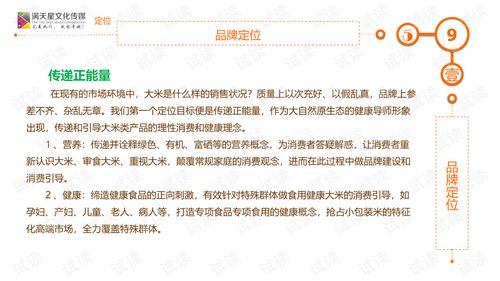 文化經紀人服務驅動大米姐品牌營銷策劃方案
